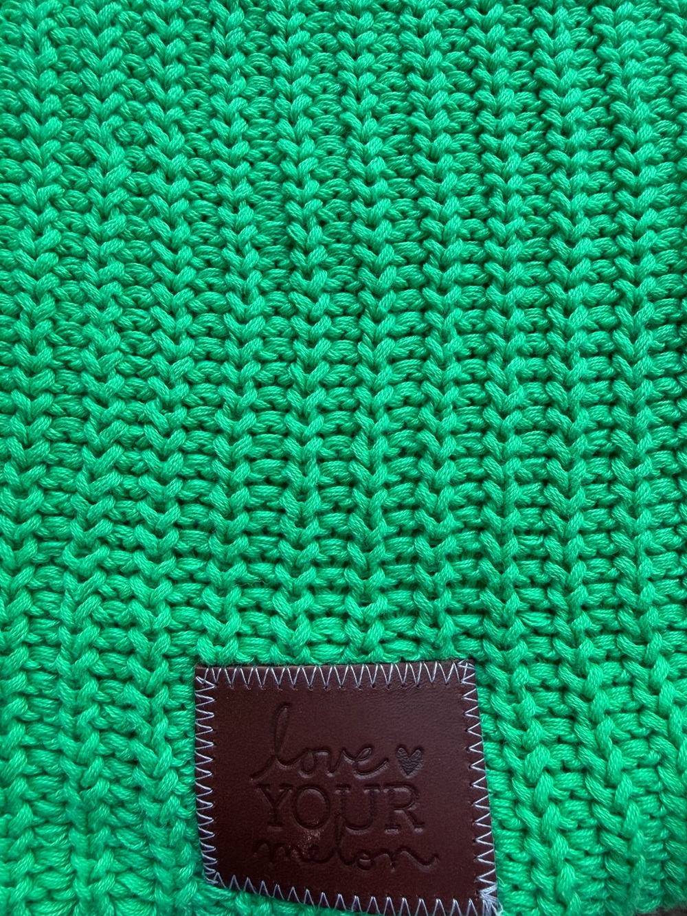 Love Your Melon Green beanie - Picture 1 of 5